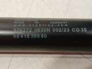 Gasdruckfeder Links Hinten 9841636980 Citroën C4 Grand Picasso (3A) Großraumlimousine 1.2 12V PureTech 130 (EB2DTS(HNY)) 2018