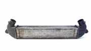 Ladeluftkühler Radiator 517189530 Fiat Doblo Cargo (223) Van 1.3 D 16V Multijet (199.A.2000) 2005-11
