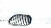 Grill Gitter Links BMW 5 serie (E60) Limousine 520d 16V Corporate Lease (M47-D20(204D4)) 2006-09