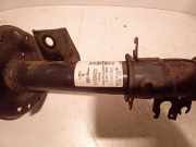 Federbein Rechts Vorne 51926523 Fiat Panda (312) Schrägheck 0.9 TwinAir Turbo 85 (312.A.2000) 2012-05