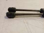 Gasdruckfedern Set Hinten 7955121 BMW 5 serie Touring (G31) Kombi 530i 2.0 TwinPower Turbo 16V Mild Hybrid (B48-B20B) 2020-11