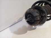 Federbein Links Vorne Hyundai i10 (B5) Schrägheck 1.0 12V (G3LA) 2016