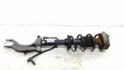 Federbein Links Vorne 8W0412023 Audi RS 4 Avant (B9) Kombi 2.9 V6 TFSI 24V (DECA) 2018-06
