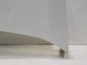 Motorhaube Citroën Nemo (AA) Van 1.4 HDi 70 (DV4TED(8HS)) 2008