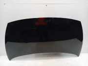 Motorhaube Kia Rio III (UB) Schrägheck 1.2 CVVT 16V (G4LA5) 2014