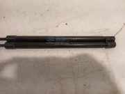 Gasdruckfedern Set Hinten 0310N Hyundai i30 (FD) Schrägheck 1.4 CVVT 16V (G4FA) 2012