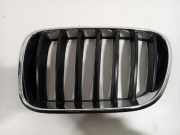 Grill Gitter Links 51117210725 BMW X3 (F25) SUV xDrive 20i 2.0 16V Twin Power Turbo (N20-B20A) 2020-06