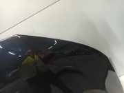 Motorhaube Ford EcoSport (JK8) SUV 1.0 EcoBoost 12V 125 (M1JJ) 2017-05