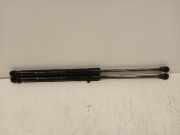 Gasdruckfedern Set Hinten 904507649R Renault Captur II (RJB) SUV 1.0 TCe 90 12V (H4D-470(H4D-E4)) 2021-10