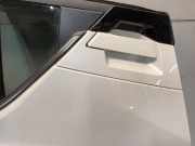 Tür Links Hinten Toyota C-HR (X1,X5) SUV 2.0 16V Hybrid (M20AFXS) 2021