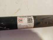 Sto?d?mpfer Links Hinten 55300J9300 Hyundai Kona (OS) SUV 1.0 T-GDI 12V (G3LC) 2018-04