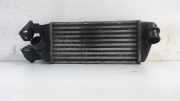 Ladeluftkühler Radiator 1571121078 Fiat 500 (312) Schrägheck 0.9 TwinAir 85 (312.A.2000) 2011
