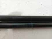 Gasdruckfedern Set Hinten 8V482755203S Audi A3 Sportback (8VA/8VF) Schr?gheck 5-drs 2.0 TDI 16V (CRBC) 2017-11