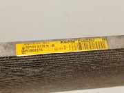 Klimakondensator 93868376 Opel Vivaro Van 1.6 CDTI BiTurbo 140 (R9M-450(R9M-D4)) 2015