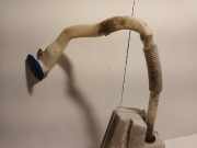 Scheibenwaschpumpe + Behälter 7P0955453 Porsche Cayenne II (92A) SUV 4.8 V8 32V S (M48.02(Euro 5)) 2011