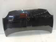 Motorhaube Fiat 500 (312) Schrägheck 1.2 69 (169.A.4000(Euro 5)) 2010