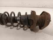 Federbein Links Hinten Mini Mini (R56) Schrägheck 1.6 16V One (N16-B16A) 2010-09