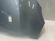 Kotflügel Links Vorne Hyundai i10 (F5) Schrägheck 1.1i 12V (G4HG5) 2011-06