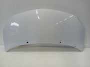 Motorhaube Renault Twingo II (CN) Schrägheck 3-drs 1.2 (D7F-800(Euro 4)) 2009-07