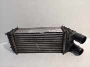 Ladeluftkühler 9803900780 Citroën C4 Cactus (0B/0P) Schrägheck 5-drs 1.6 Blue Hdi 100 (DV6FD(BHY)) 2015
