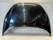 Motorhaube Ford Fiesta 6 (JA8) Schrägheck 1.6 TDCi 95 (TZJB(Euro 5)) 2011