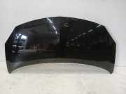 Motorhaube Renault Twingo II (CN) Schrägheck 3-drs 1.2 16V (D4F-764(D4F-E7)) 2012-02