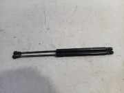 Gasdruckfedern Set Hinten 518416340 Fiat Panda (312) Schrägheck 1.2 69 (169.A.4000) 2014