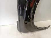 Kotflügel Rechts Vorne Hyundai Santa Fe IV SUV 1.6 T-GDI Hybrid (G4FT) 2021