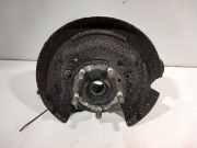 Radnabe Rechts Hinten LR024482 Land + Range Rover Range Rover Evoque (LVJ/LVS) SUV 2.0 Si4 240 16V (204PT(GTDI)) 2012-02
