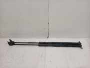 Gasdruckfedern Set Hinten a2469800564 Mercedes-Benz B (W246/W242) Schrägheck 1.6 B-180 BlueEFFICIENCY Turbo 16V (M270.910) 2012