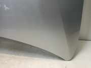 Motorhaube Volkswagen Caddy III (2KA,2KH,2CA,2CH) Van 1.6 TDI 16V (CAYE) 2012-12 CAYE