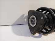 Federbein Rechts Vorne DV6118045LC Ford Transit Connect (PJ2) Van 1.6 TDCi 16V 95 (TZGA(Euro 5)) 2015