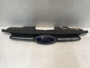 Grill Ford Transit Custom Van 2.2 TDCi 16V (DRFG) 2015-01