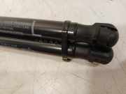 Gasdruckfedern Set Hinten Suzuki Swift (ZC/ZD) Schrägheck 5-drs 1.2 Dual Jet 16V Smart Hybrid (K12D) 2021