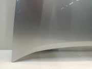 Motorhaube Peugeot Partner/Ranch (GC/GF/GG/GJ/GK) Van 1.6 HDI 90 16V (DV6AUTED4(9HX)) 2008