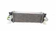 Ladeluftkühler Radiator Ford Transit Connect Van 1.8 Tddi (BHPA(Euro 3)) 2008-05