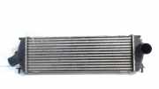 Ladeluftkühler Radiator 8200411160C Opel Vivaro Van 2.0 CDTI (M9R-692(M9R-F6)) 2012