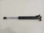 Gasdruckfedern Set Hinten 17b23ac2 Citroën C4 Aircross (BU) SUV 1.8 HDi 16V 150 (4N13) 2014