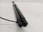 Gasdruckfedern Set Hinten 5H6827550D01S Volkswagen Golf VIII (CD1) Schrägheck 2.0 GTI 16V (DNPA) 2020 DNPA