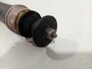 Stoßdämpfer Rechts Hinten Renault Clio V (RJAB) Schrägheck 5-drs 1.3 TCe 130 16V (H5H-470(H5H-B4)) 2020