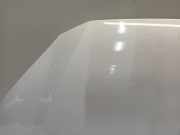 Motorhaube Ford Transit Custom Van 2.2 TDCi 16V (DRFG) 2015-01