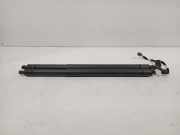 Gasdruckfedern Set Hinten 5E782785103S Skoda Octavia Kombi (NXAC) Kombi 5-drs 2.0 TDI 16V (DTTC) 2020
