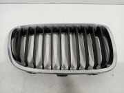 Grill Gitter Rechts 7239022 BMW 1 serie (F20) Schrägheck 5-drs 118d 2.0 16V (N47-D20C) 2012-02
