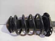 Federbein Links Vorne DV6118K001LC Ford Transit Connect (PJ2) Van 1.6 TDCi 16V 95 (TZGA(Euro 5)) 2015