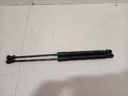 Gasdruckfeder Set Vorne 654707606R Renault Megane IV (RFBB) Schrägheck 5-drs 1.2 Energy TCE 130 (H5F-408(H5F-F4)) 2016