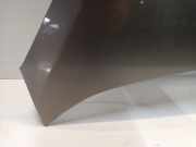 Motorhaube Kia Picanto (TA) Schrägheck 1.0 12V (G3LA) 2013-09