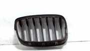 Grill Gitter Links 51137171396 BMW X5 (E70) SUV xDrive 30d 3.0 24V (M57N2-D30(306D3)) 2009-06