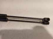 Gasdruckfedern Set Hinten 81770H8010 Kia Rio IV (YB) Schrägheck 1.0i T-GDi 100 12V (G3LC) 2019