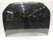 Motorhaube Volkswagen Polo V (6R) Schrägheck 1.2 TDI 12V BlueMotion (CFWA(Euro 5)) 2012-03 CFWA(Euro 5)