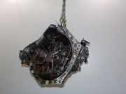 Getriebe Manuell C550 Peugeot 107 Schrägheck 1.0 12V (384F(1KR)) 2009-10